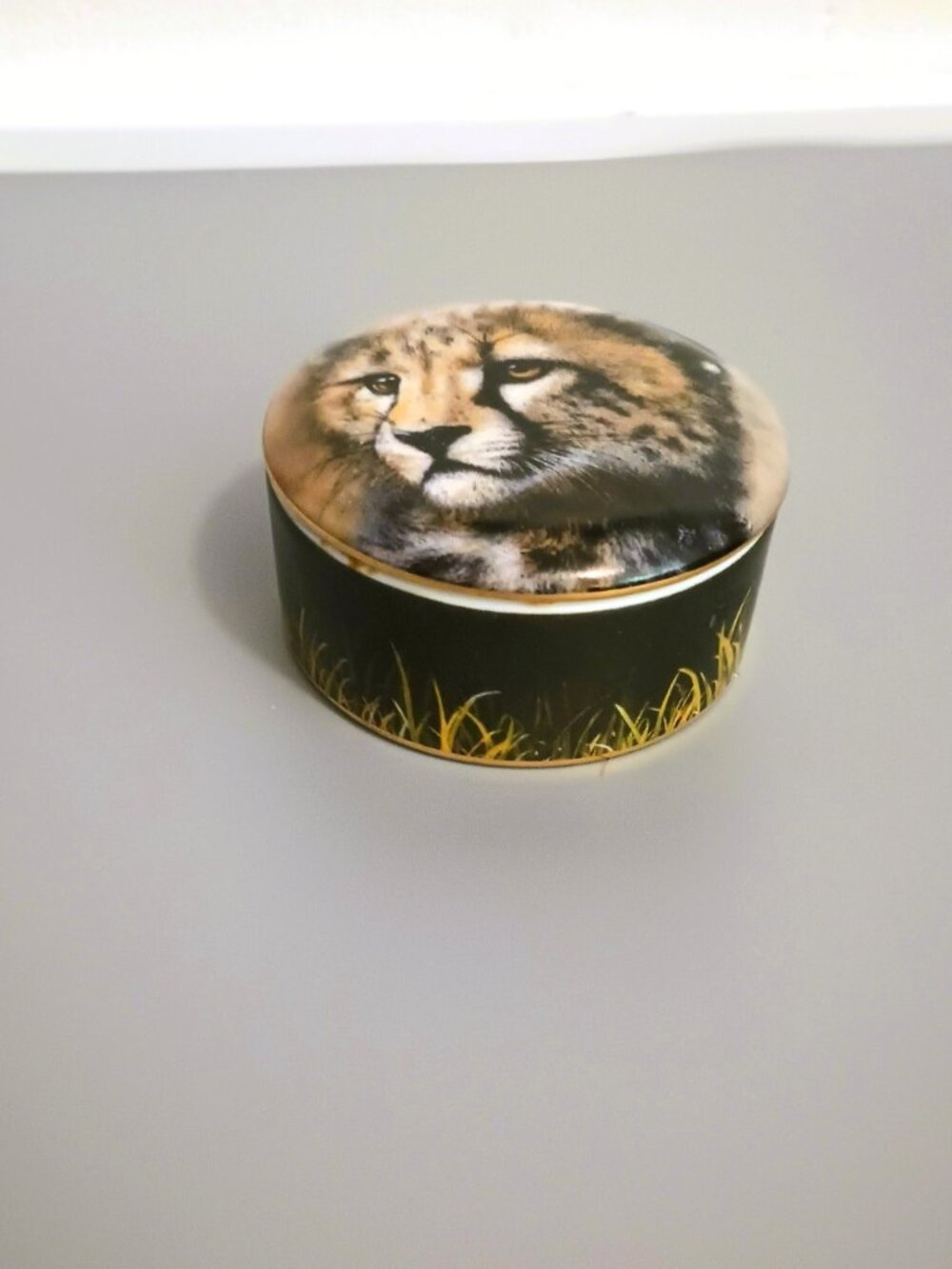 Cheetah Cubs of the Big Cats Collectors Music Box Vintage by Princeton Gallery